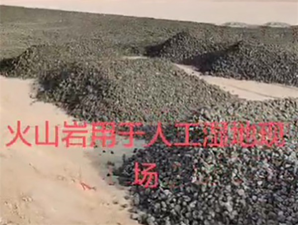 北京大興潛流層人工濕地項目